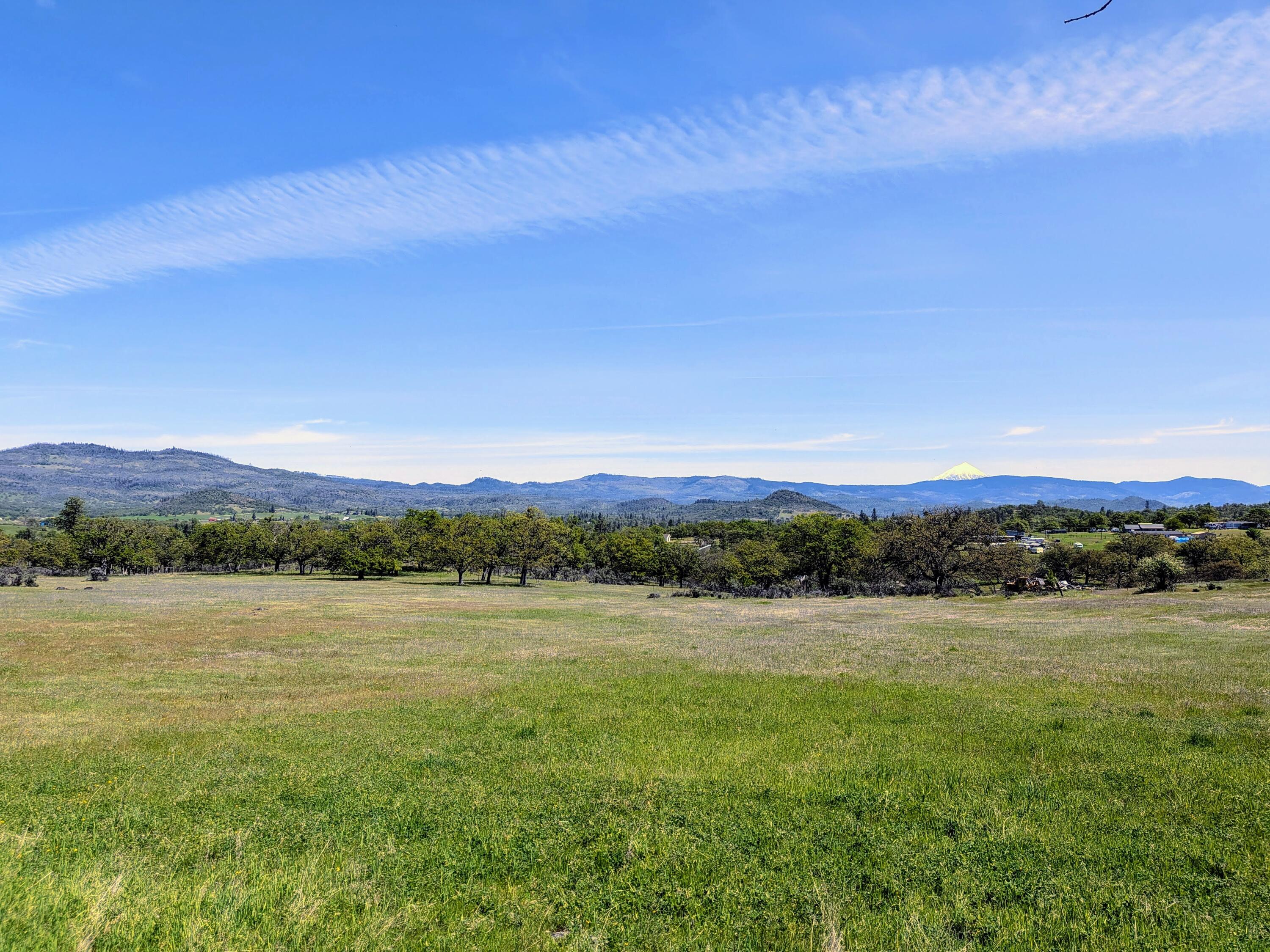 Stevens Road, Unit 100 Eagle Point, OR 97524 - Photo 6 of 15 5