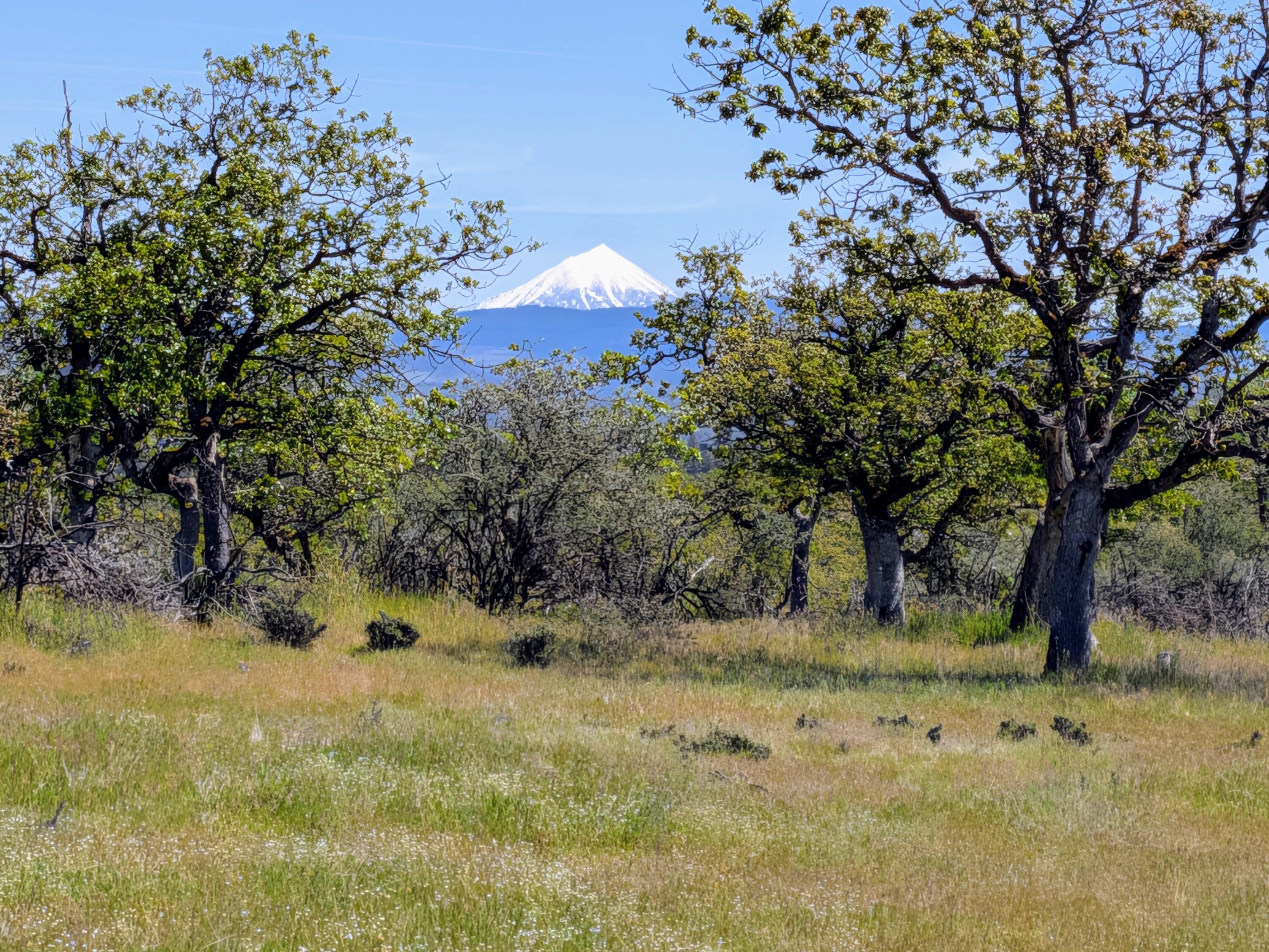 Stevens Road, Unit 100 Eagle Point, OR 97524 - Photo 9 of 15 9