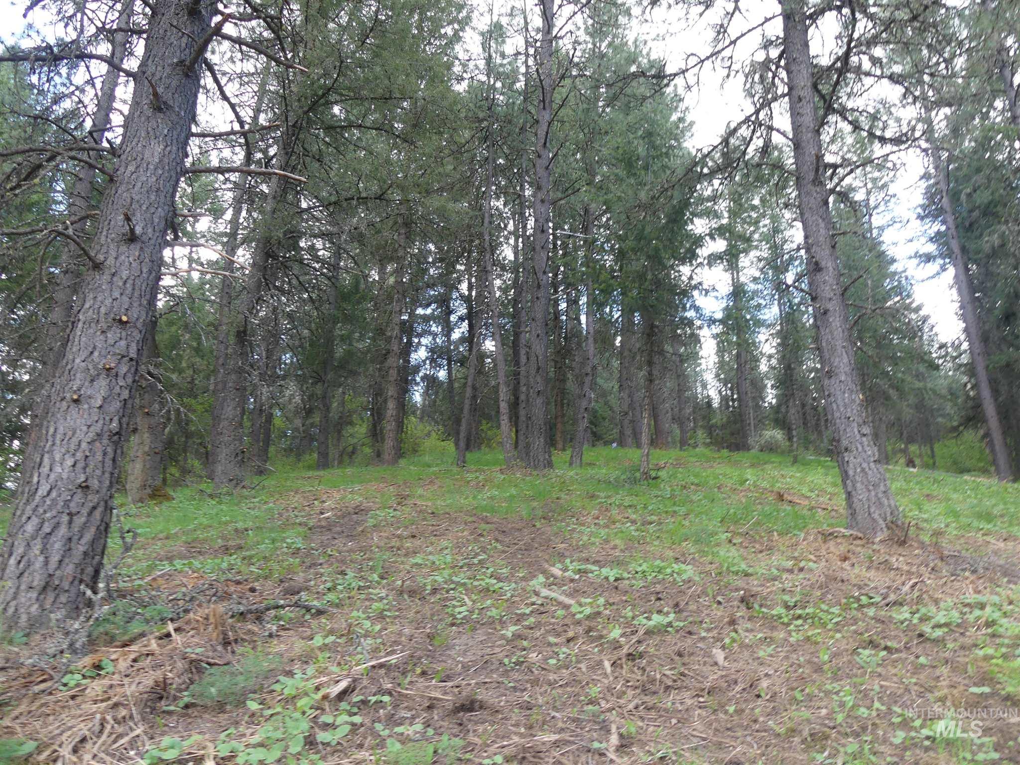 22743 Old Melrose Grade Road Peck, ID 83545 - Photo 29 of 45