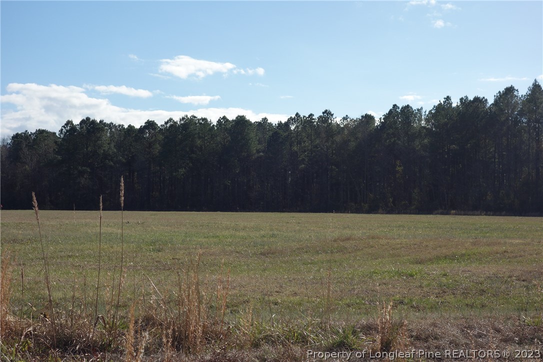 11 Fire Tower Road Orrum, NC 28369 - Photo 1 of 1 a view of large field with trees in background
