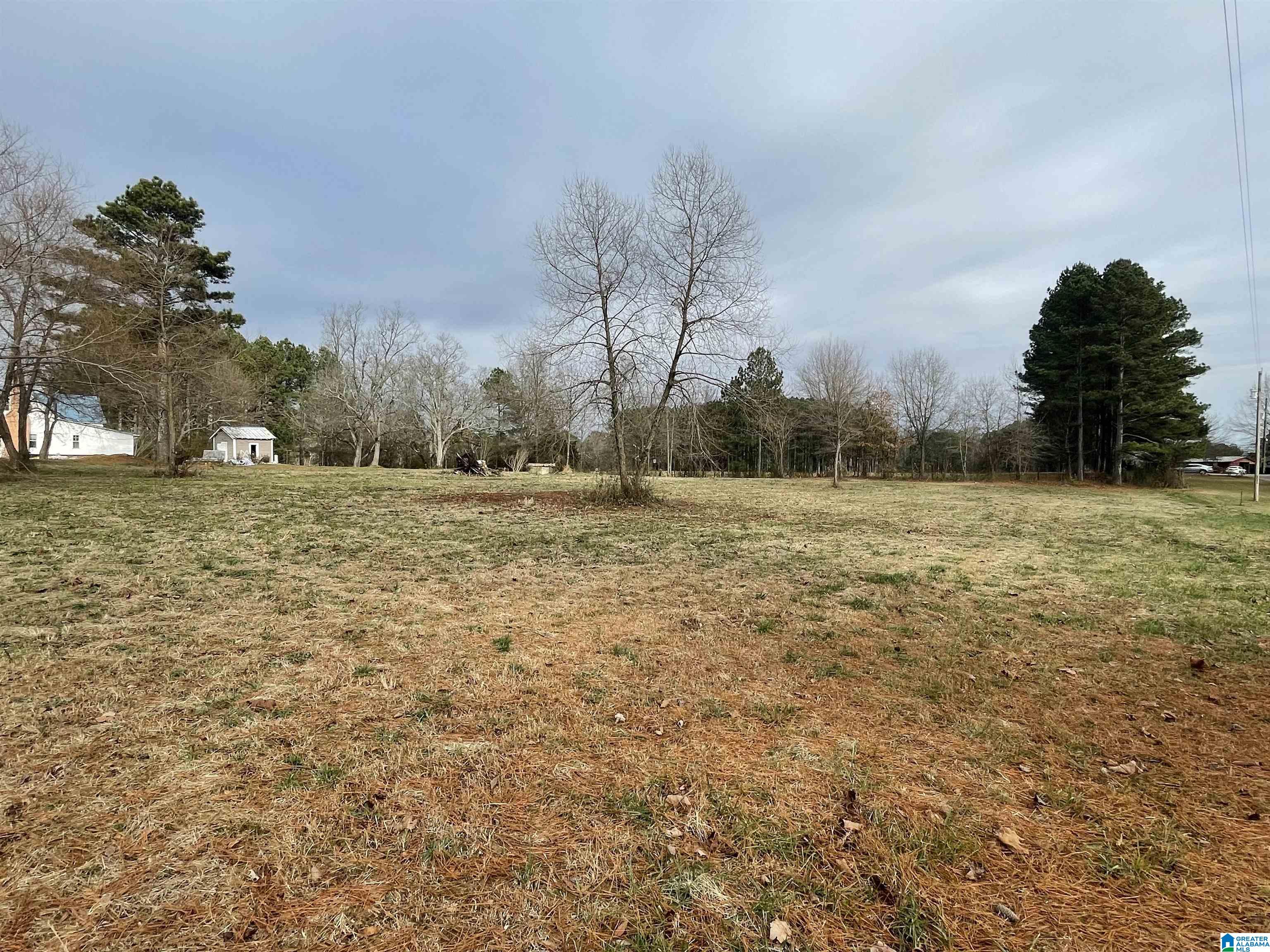 0 Old Eva Road Eva, AL 35621 - Photo 2 of 10