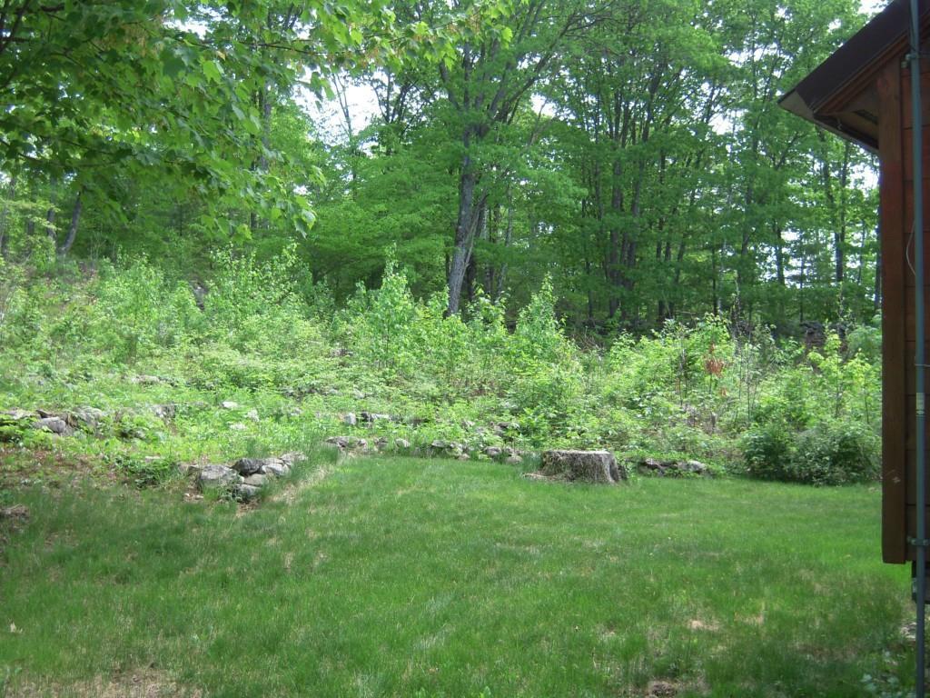 290 Stone Road West Newfield, ME 04095 - Photo 19 of 30 Back Yard