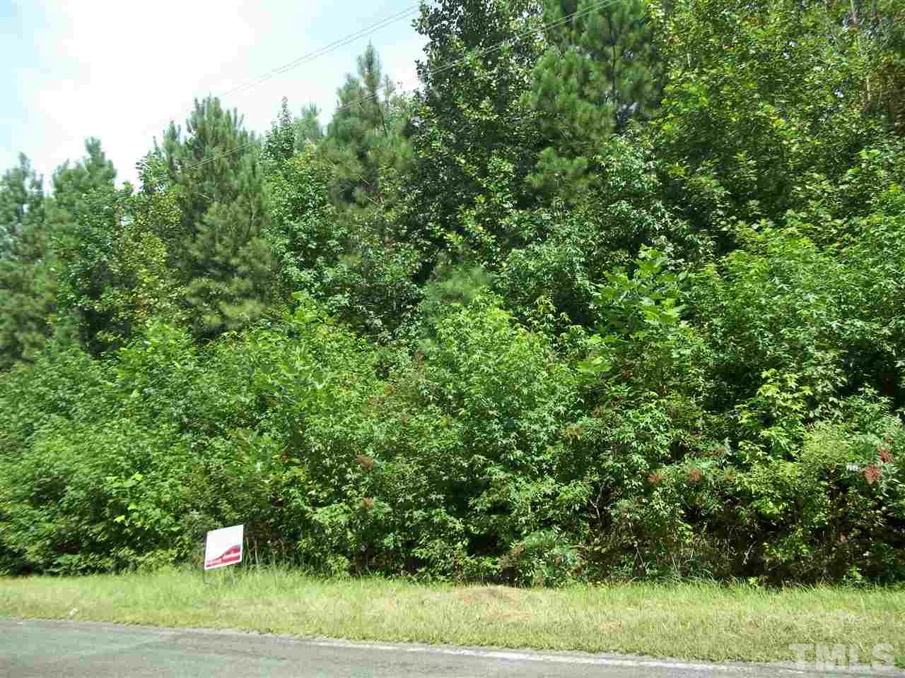 0 Stoney Mountain Road Rougemont, NC 27572 - Photo 2 of 3