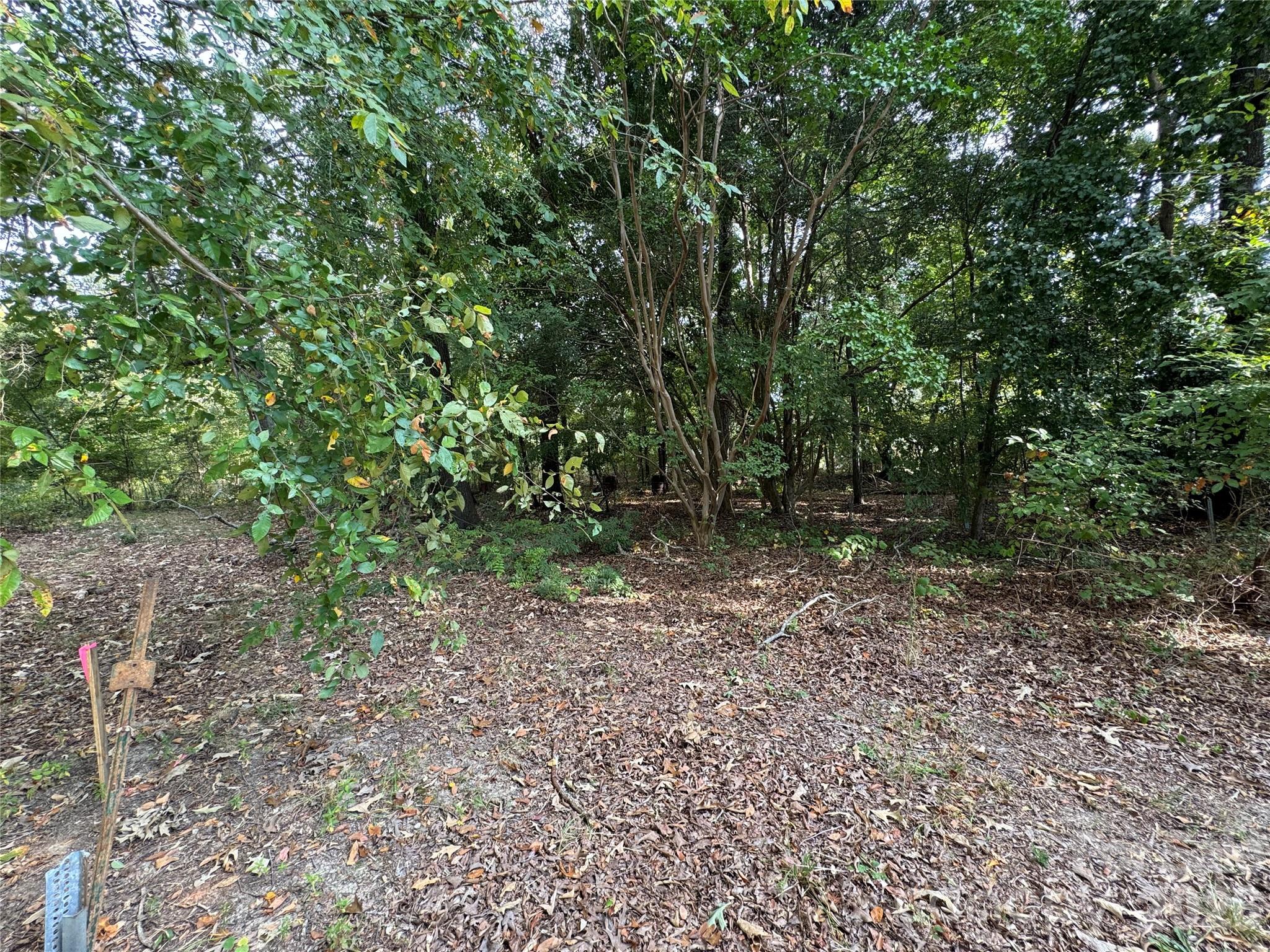 0 James Hamilton Road Monroe, NC 28110 - Photo 12 of 14