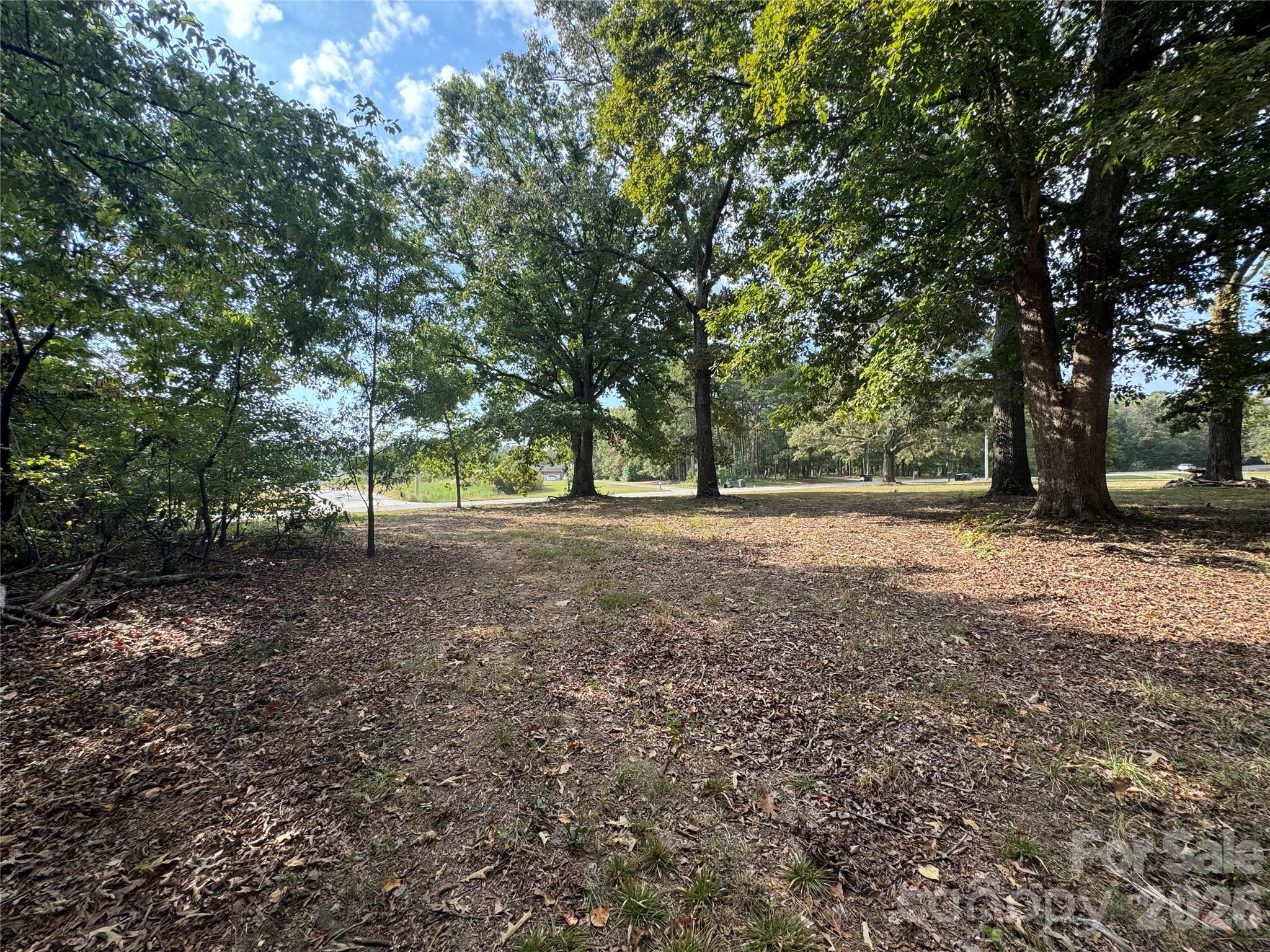 0 James Hamilton Road Monroe, NC 28110 - Photo 13 of 14