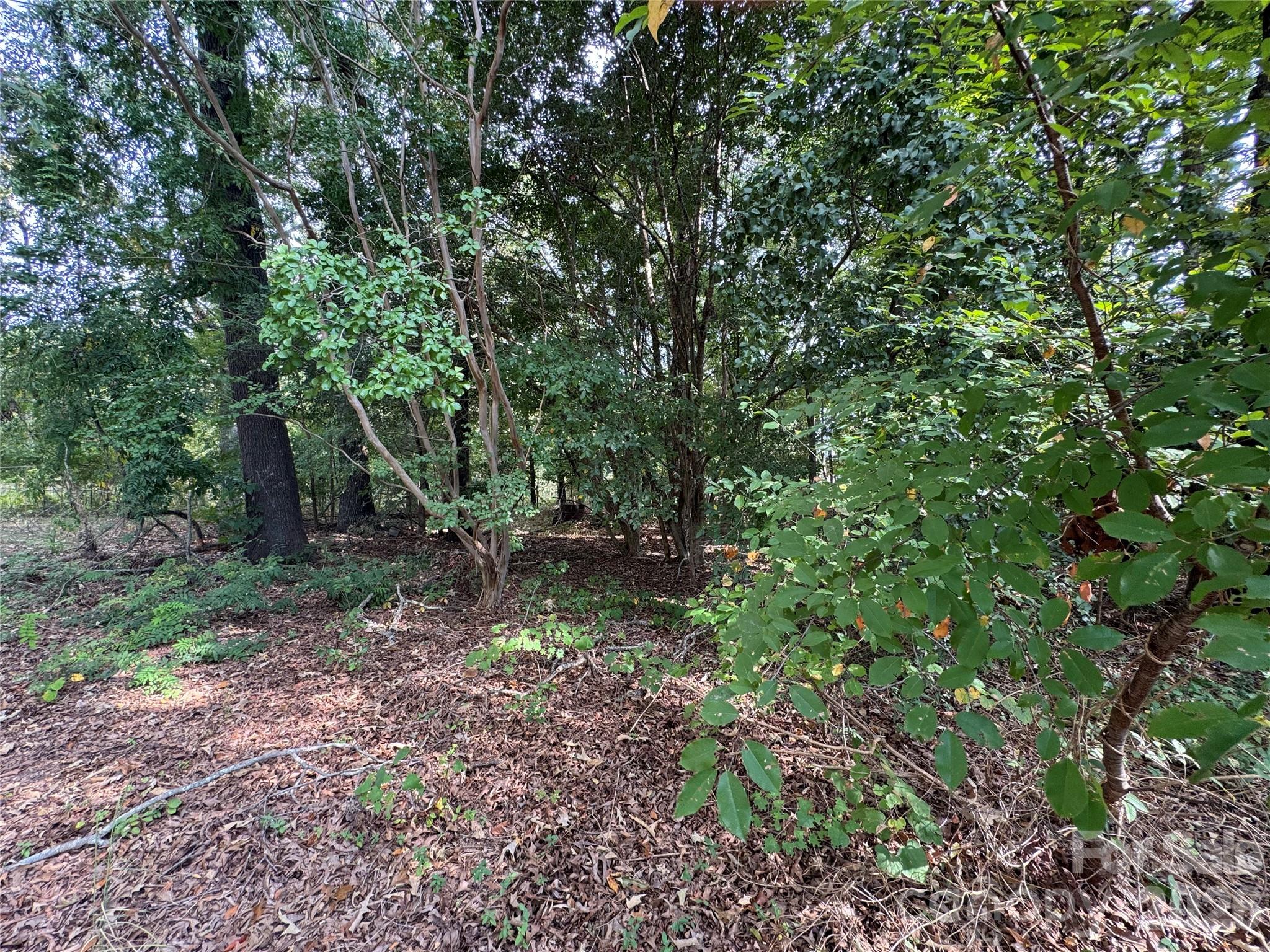 0 James Hamilton Road Monroe, NC 28110 - Photo 14 of 14