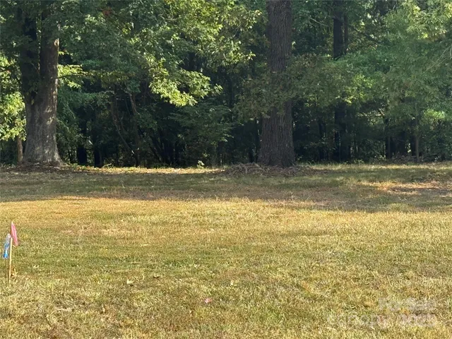 a view of a yard with a tree