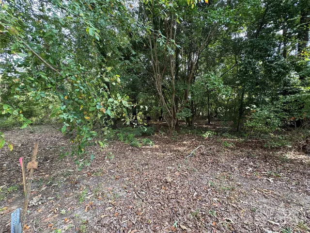 a view of a yard with a tree