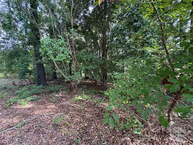 a backyard of a house with lots of plants and entertaining space