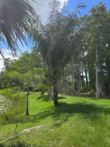 a backyard of a house with lots of green space and fountain