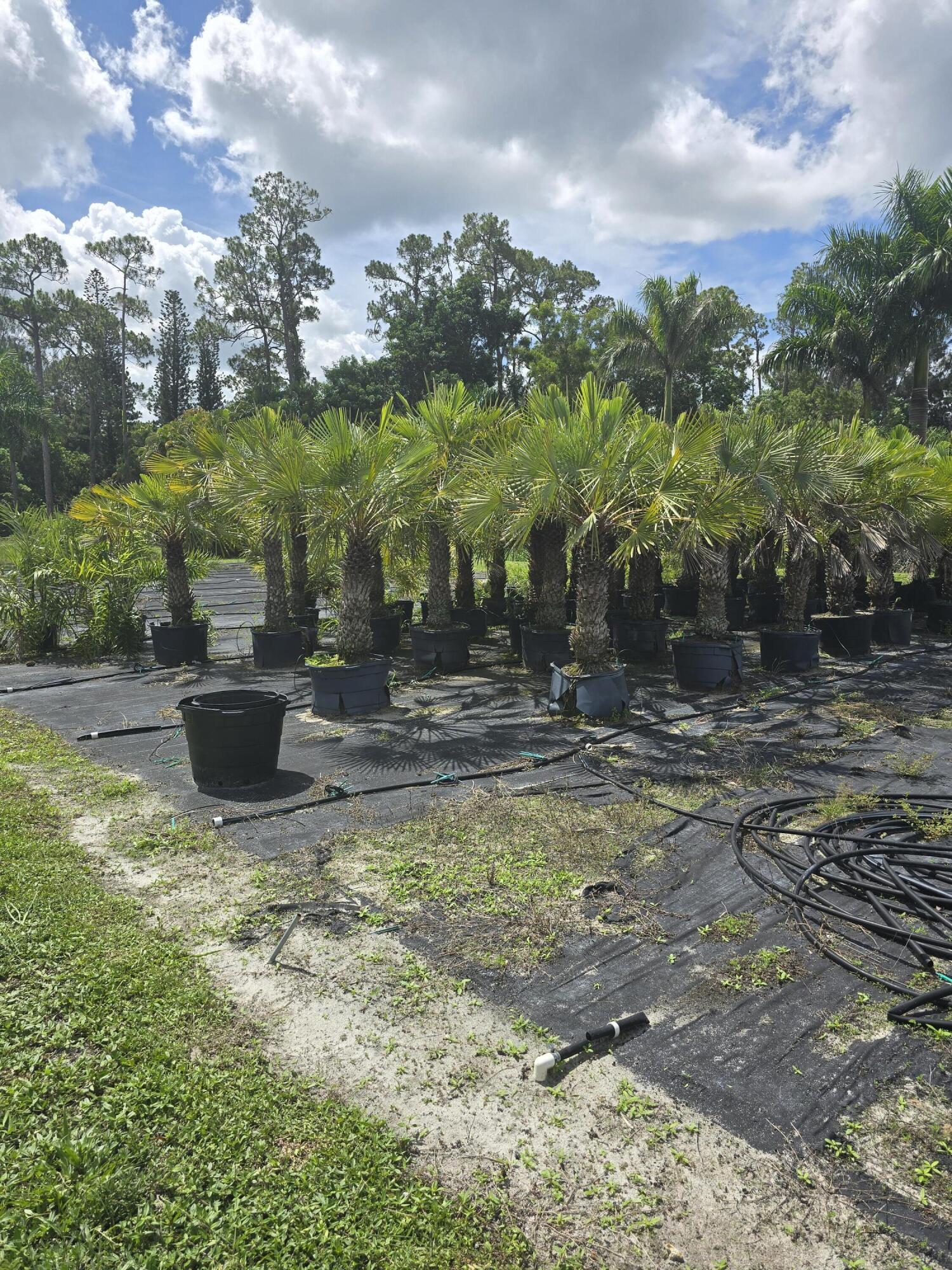 0 B Road Loxahatchee, FL 33470 - Photo 2 of 24 a view of a fountain in the yard
