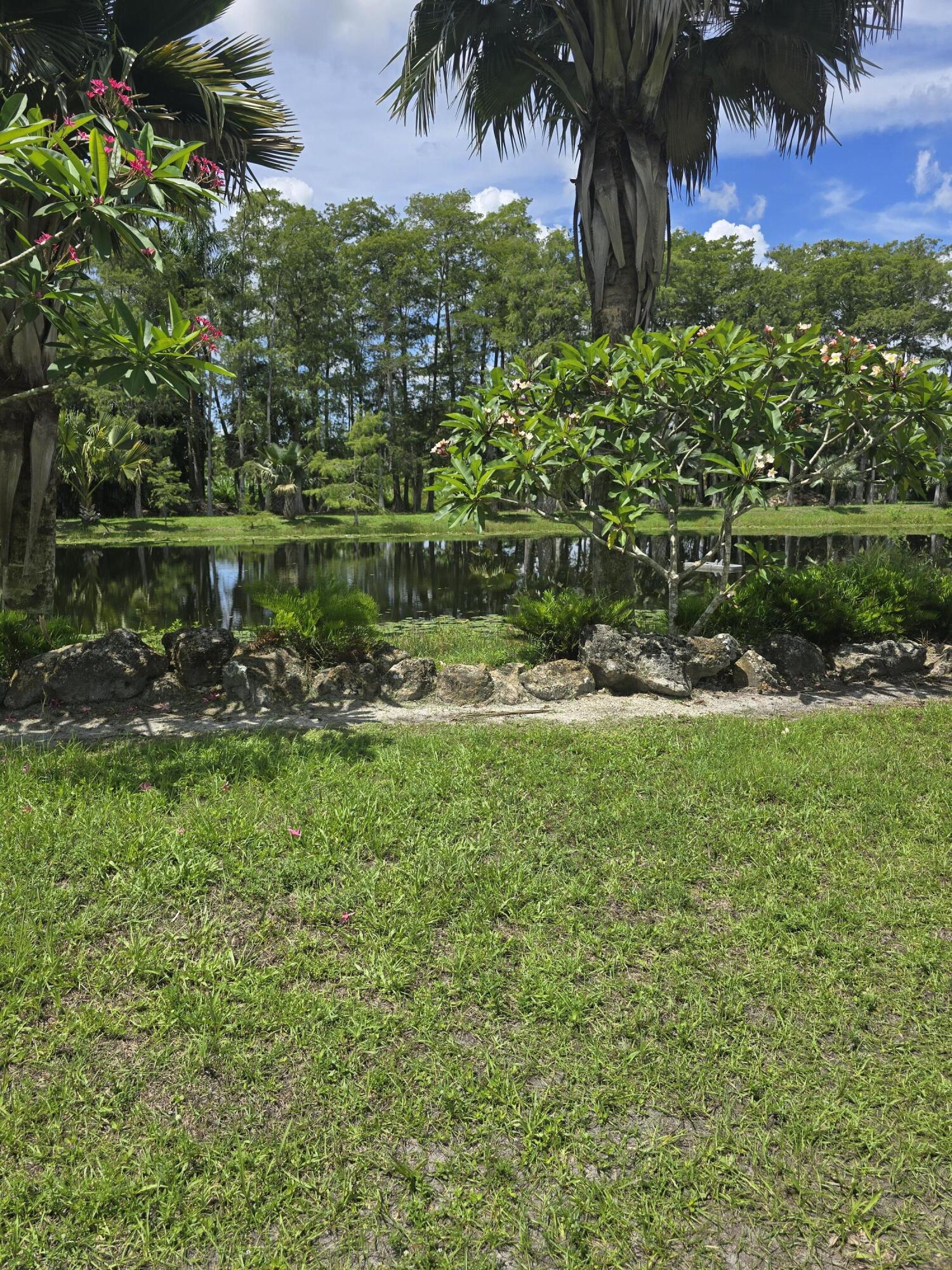 0 B Road Loxahatchee, FL 33470 - Photo 22 of 24 a view of a lake with a building in the background