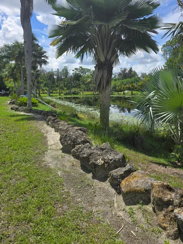 a view of a garden with a tree