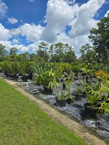 a view of yard with green space