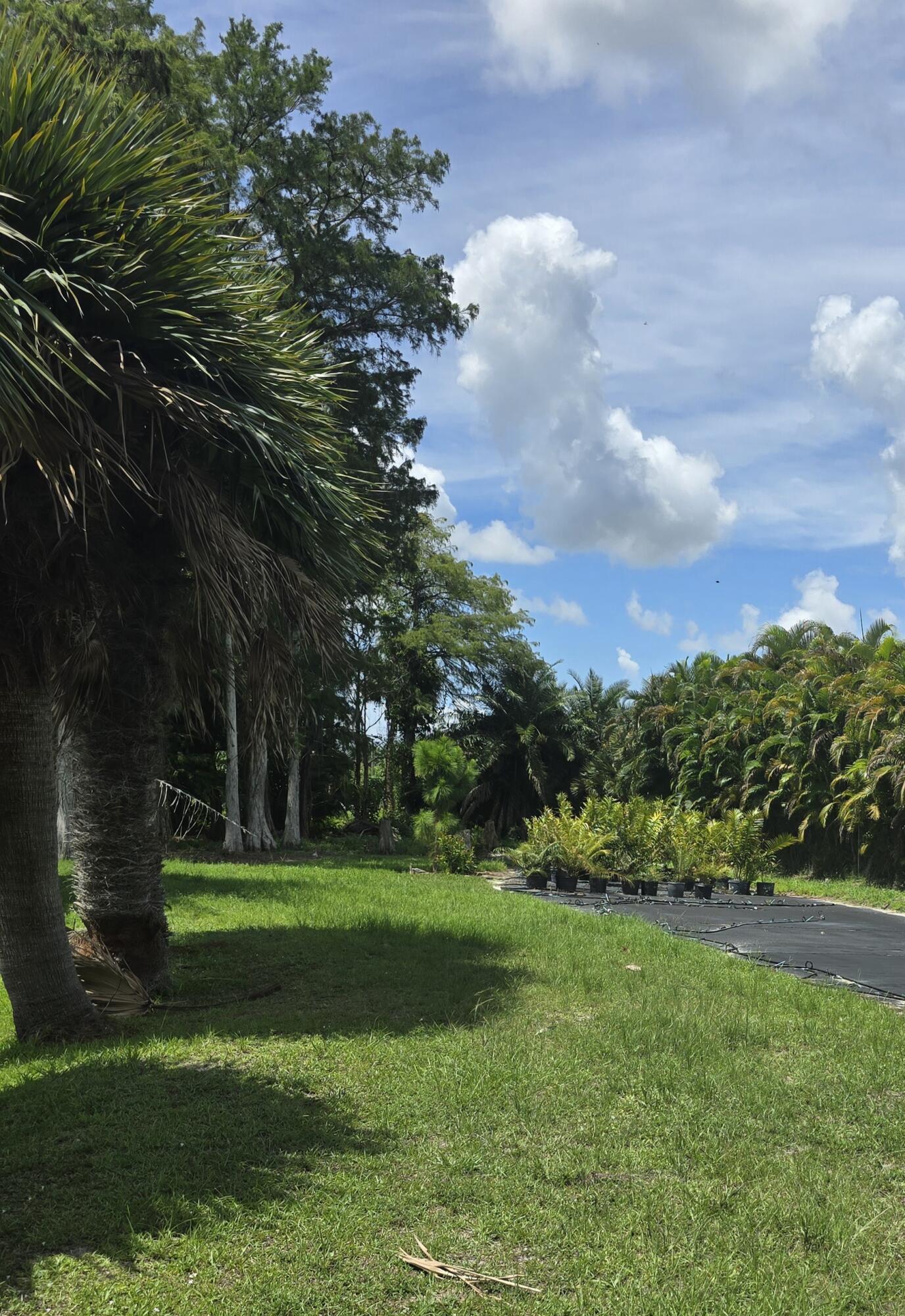 0 B Road Loxahatchee, FL 33470 - Photo 9 of 24 a view of a park