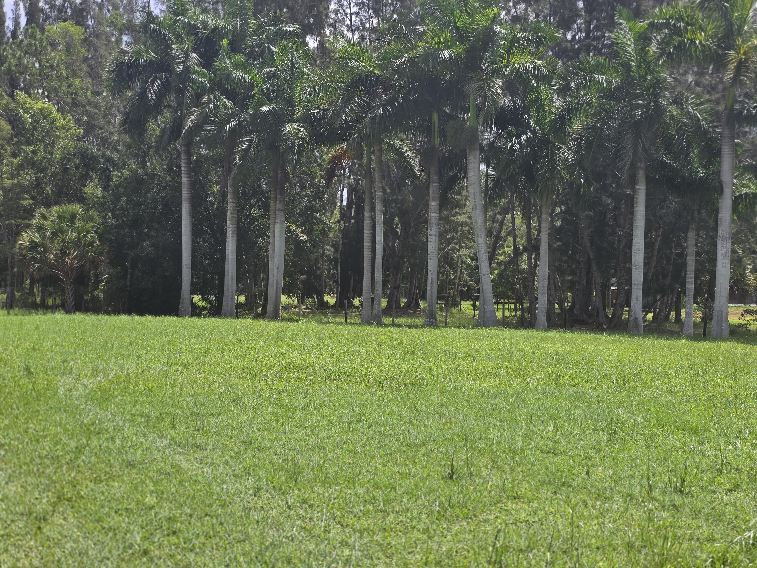 0 B Road Loxahatchee, FL 33470 - Photo 10 of 24 a backyard of a house with lots of green space