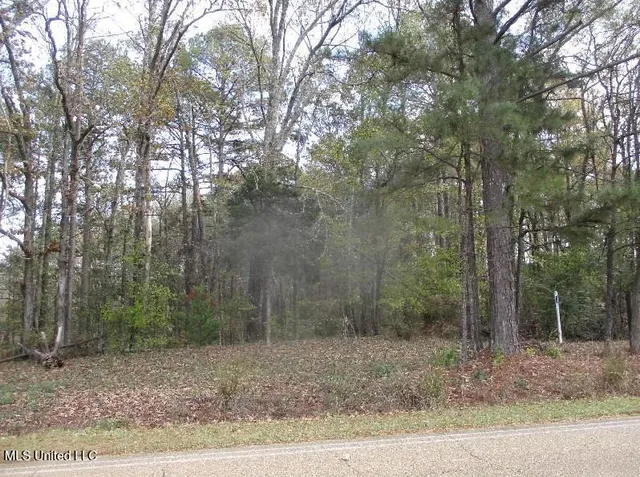 $50,000 | 0 Terry Road, Terry, MS 39170
