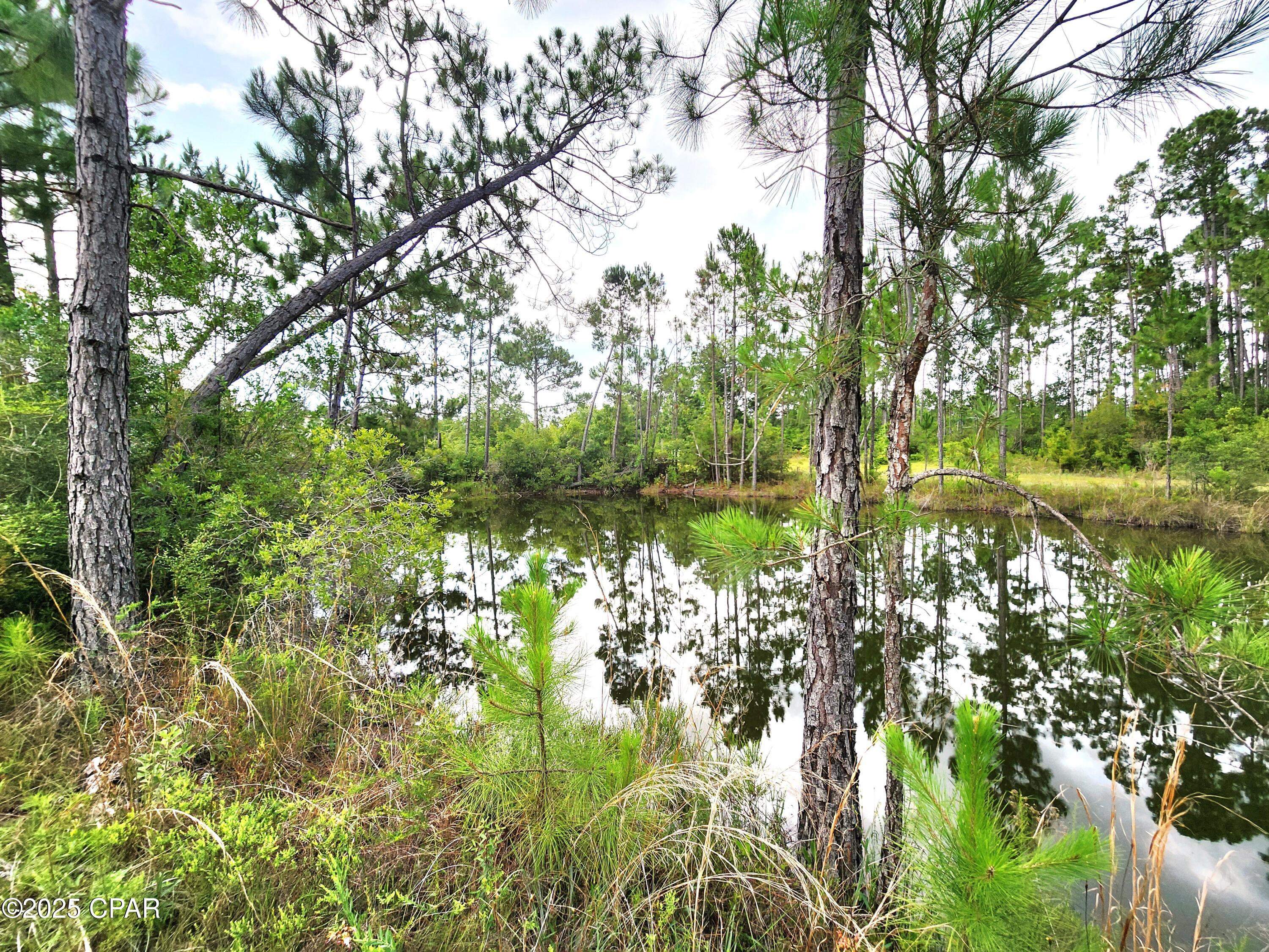 11136 Silver Lake Road Fountain, FL 32438 - Photo 21 of 30 Gallery Image 21