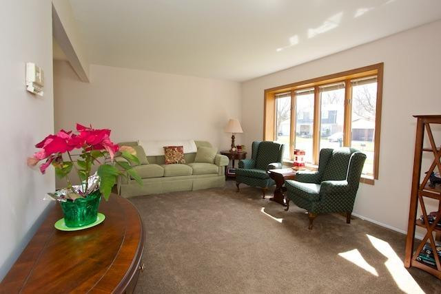 42374 Old Bridge Road Canton, MI 48188 - Photo 3 of 32 Photo 3