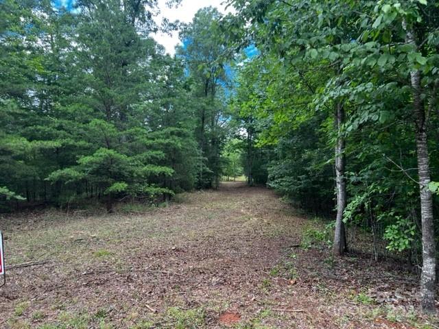 46 North Park Lane Mill Spring, NC 28756 - Photo 1 of 7 a view of a forest with trees in the background