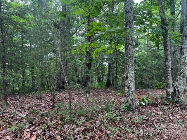 46 North Park Lane Mill Spring, NC 28756 - Photo 3 of 7 a view of a forest