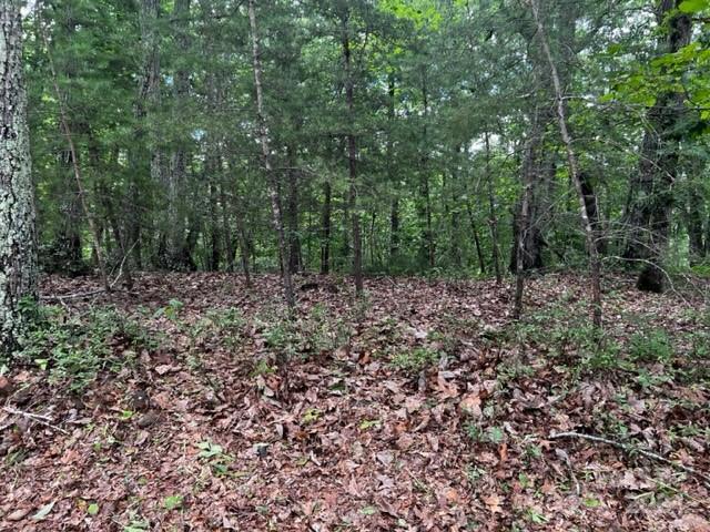 46 North Park Lane Mill Spring, NC 28756 - Photo 4 of 7 a view of a large yard with lots of green space