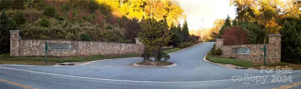 a view of a park with large trees