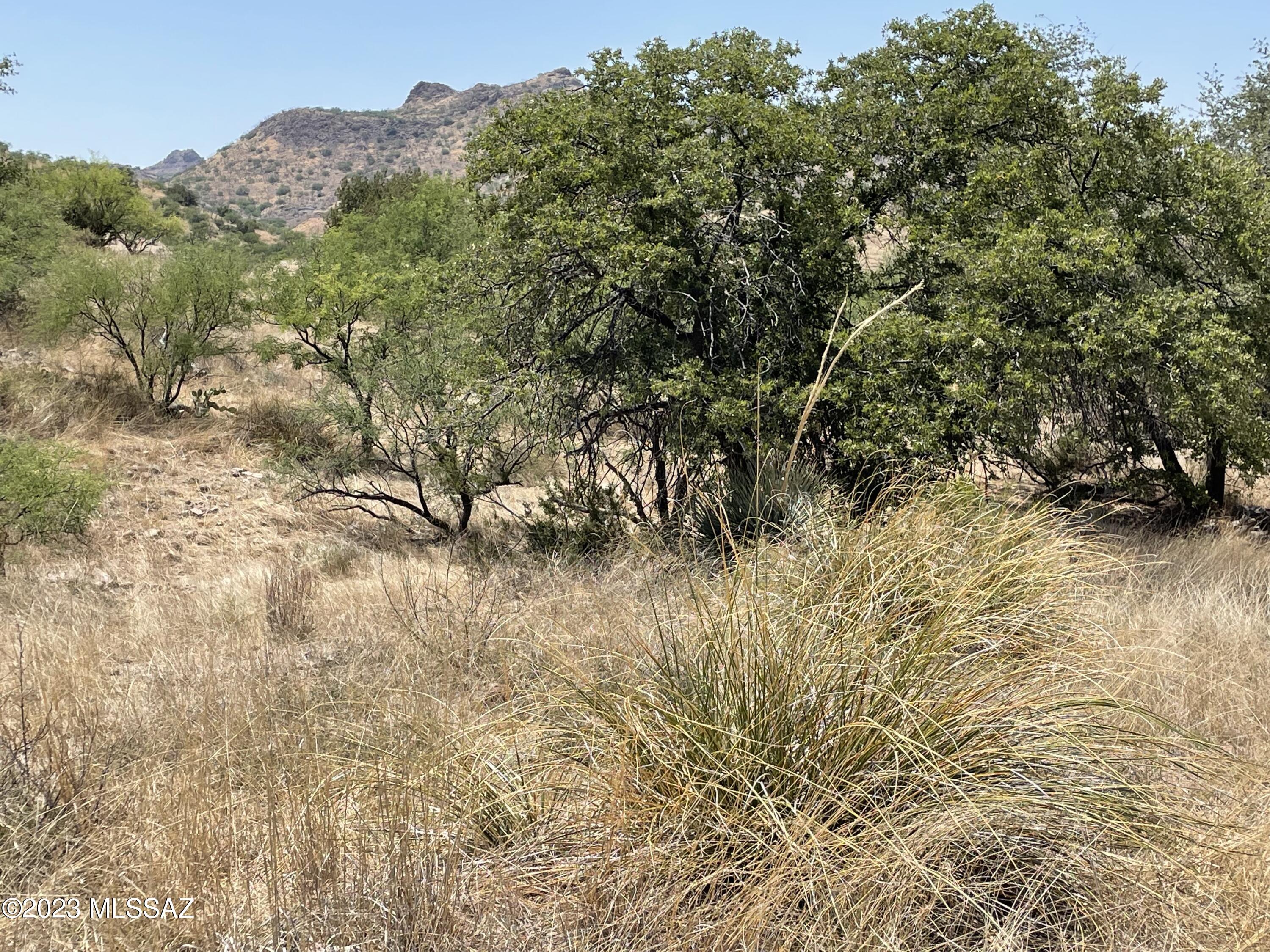 0 Montezuma Well Road, Unit 162 Rio Rico, AZ 85648 - Photo 4 of 26