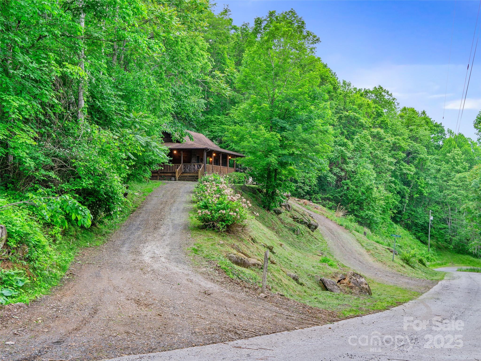 198 Grace Ridge Road Bakersville, NC 28705 - Photo 22 of 27 a view of a garden with plants