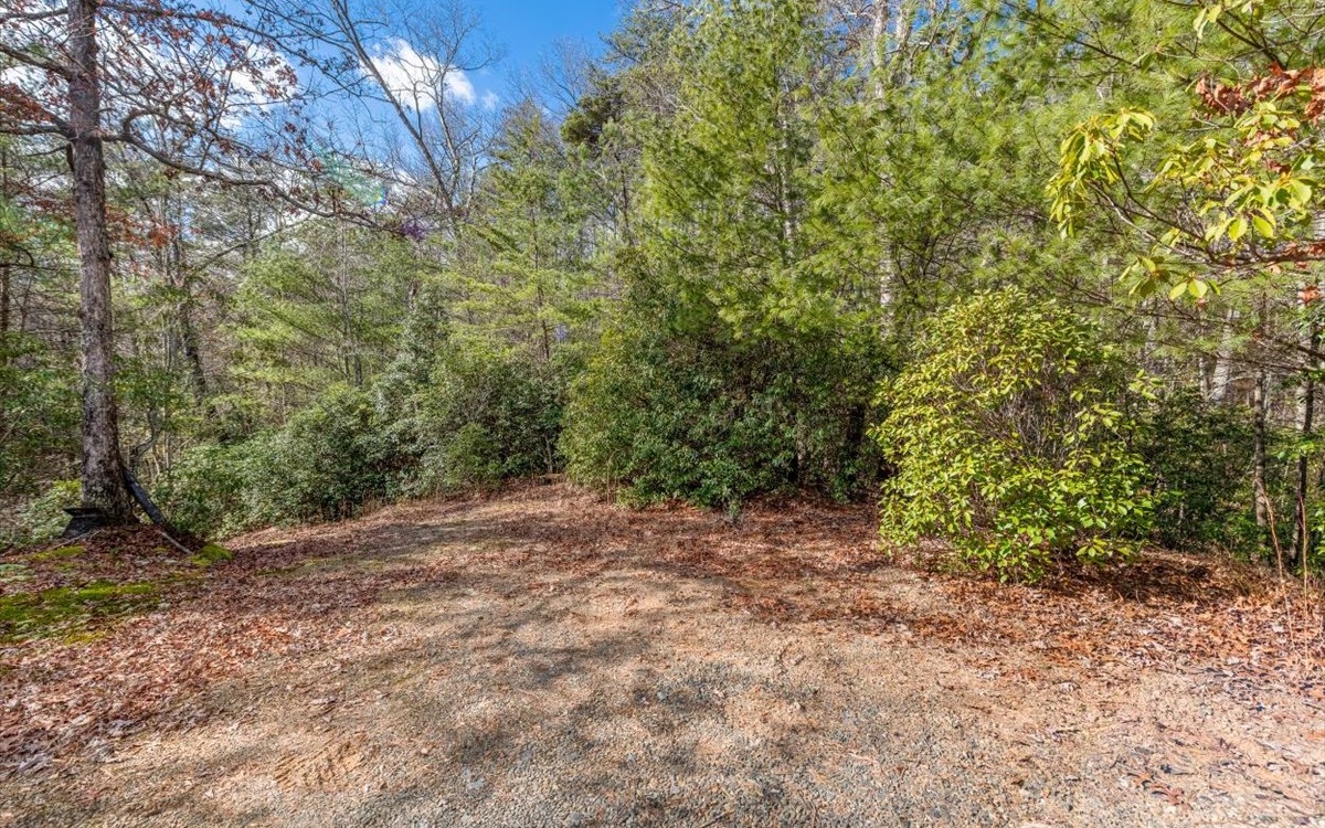2180 Weaver Creek Road Blue Ridge, GA 30513 - Photo 55 of 58 Additional View