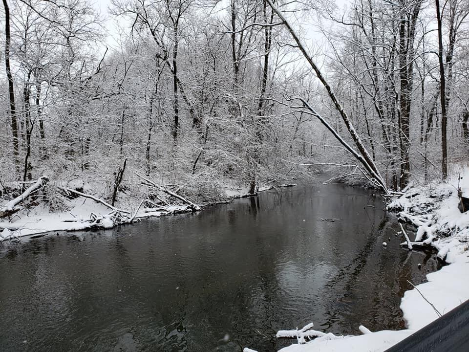 14333 Wolfe Road Freeport, MI 49325 - Photo 45 of 54 River Lot Winter 2