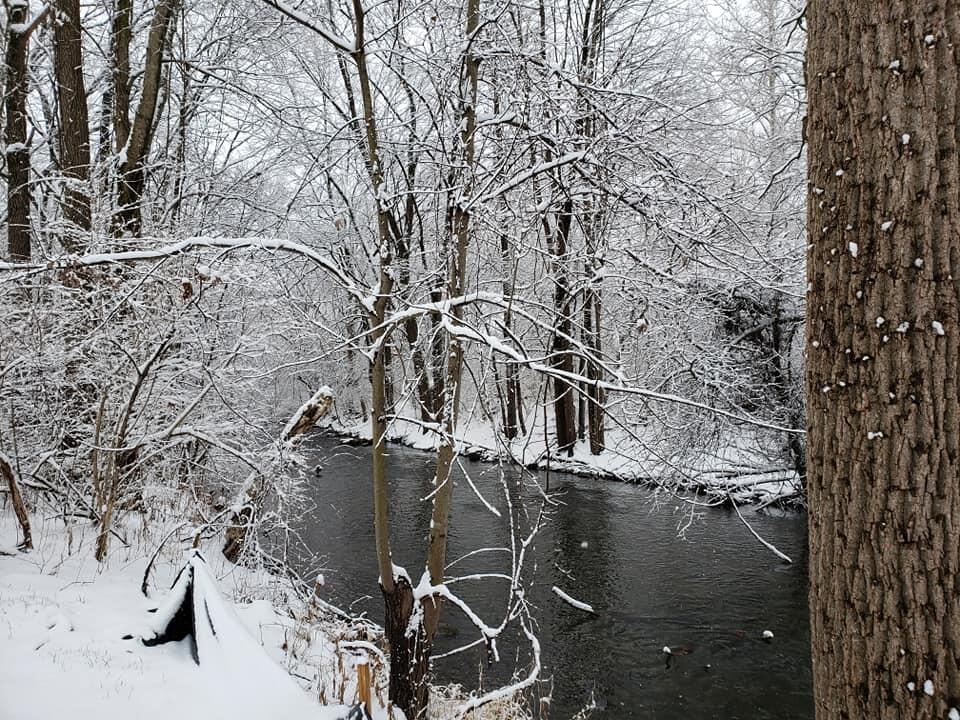 14333 Wolfe Road Freeport, MI 49325 - Photo 46 of 54 River Lot Winter