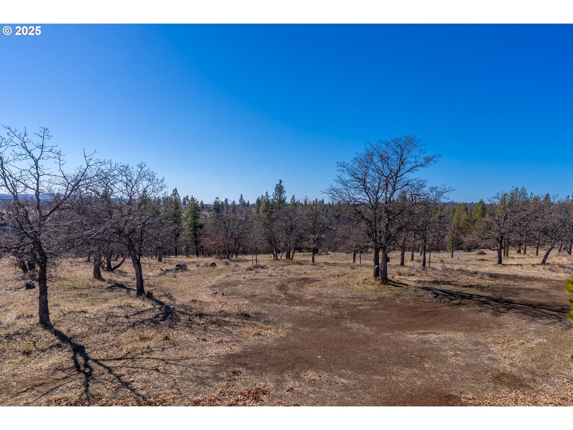 76 Big Springs Road Goldendale, WA 98620 - Photo 17 of 48 a view of dirt yard with a tree
