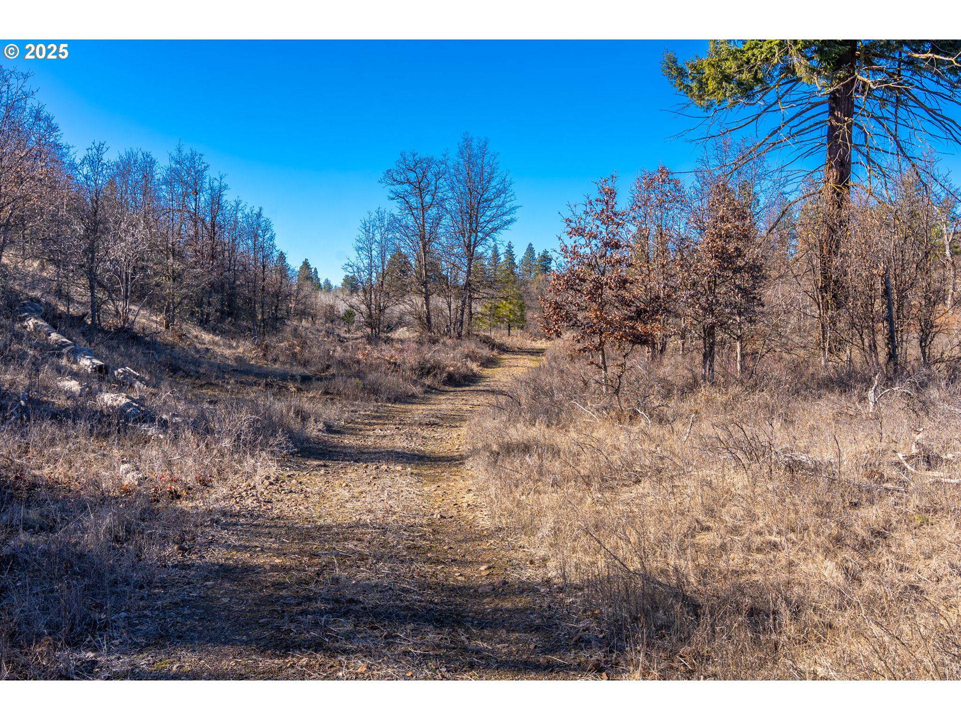 76 Big Springs Road Goldendale, WA 98620 - Photo 29 of 48 a view of ocean