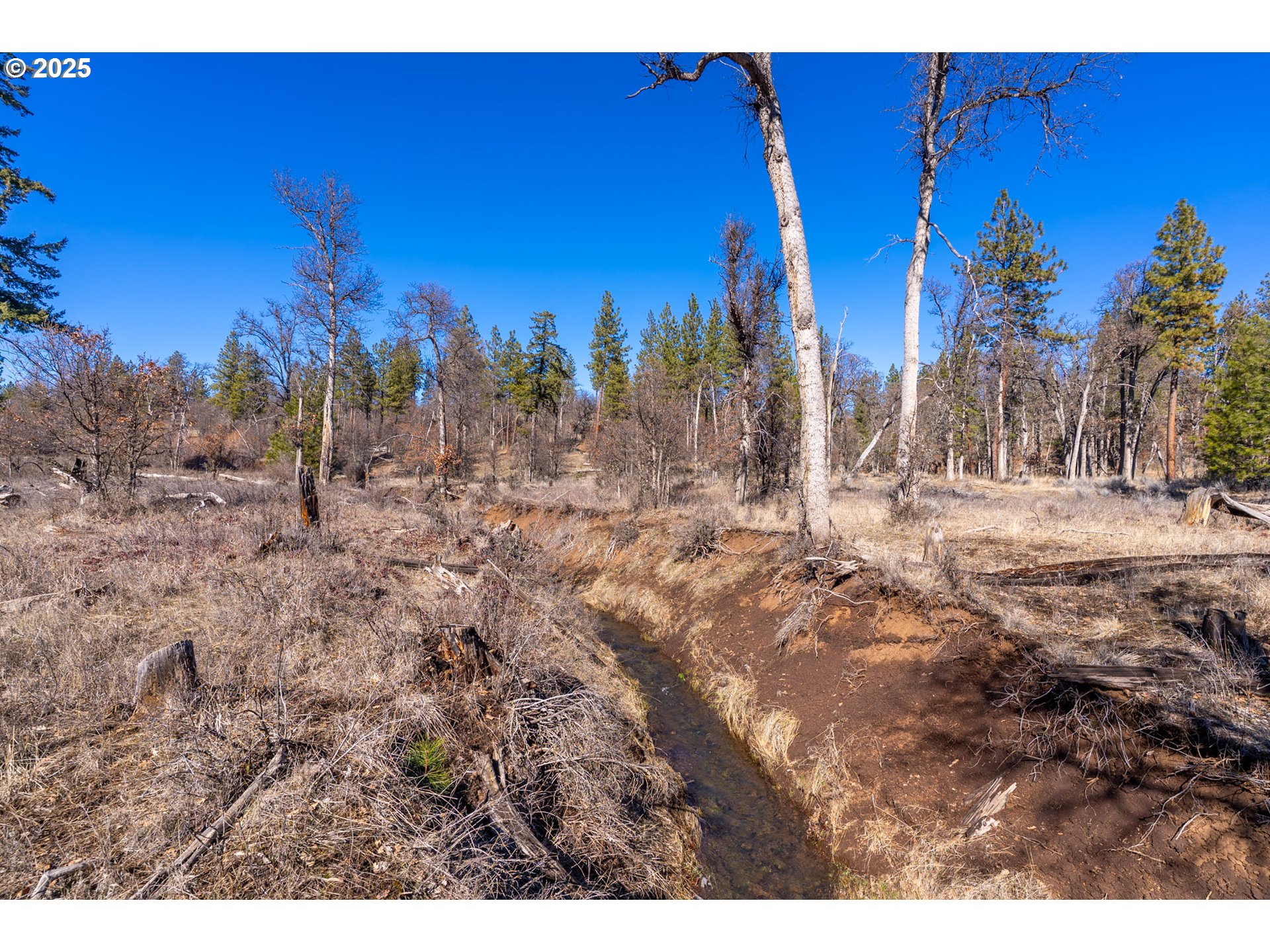 76 Big Springs Road Goldendale, WA 98620 - Photo 30 of 48 a view of outdoor space with trees