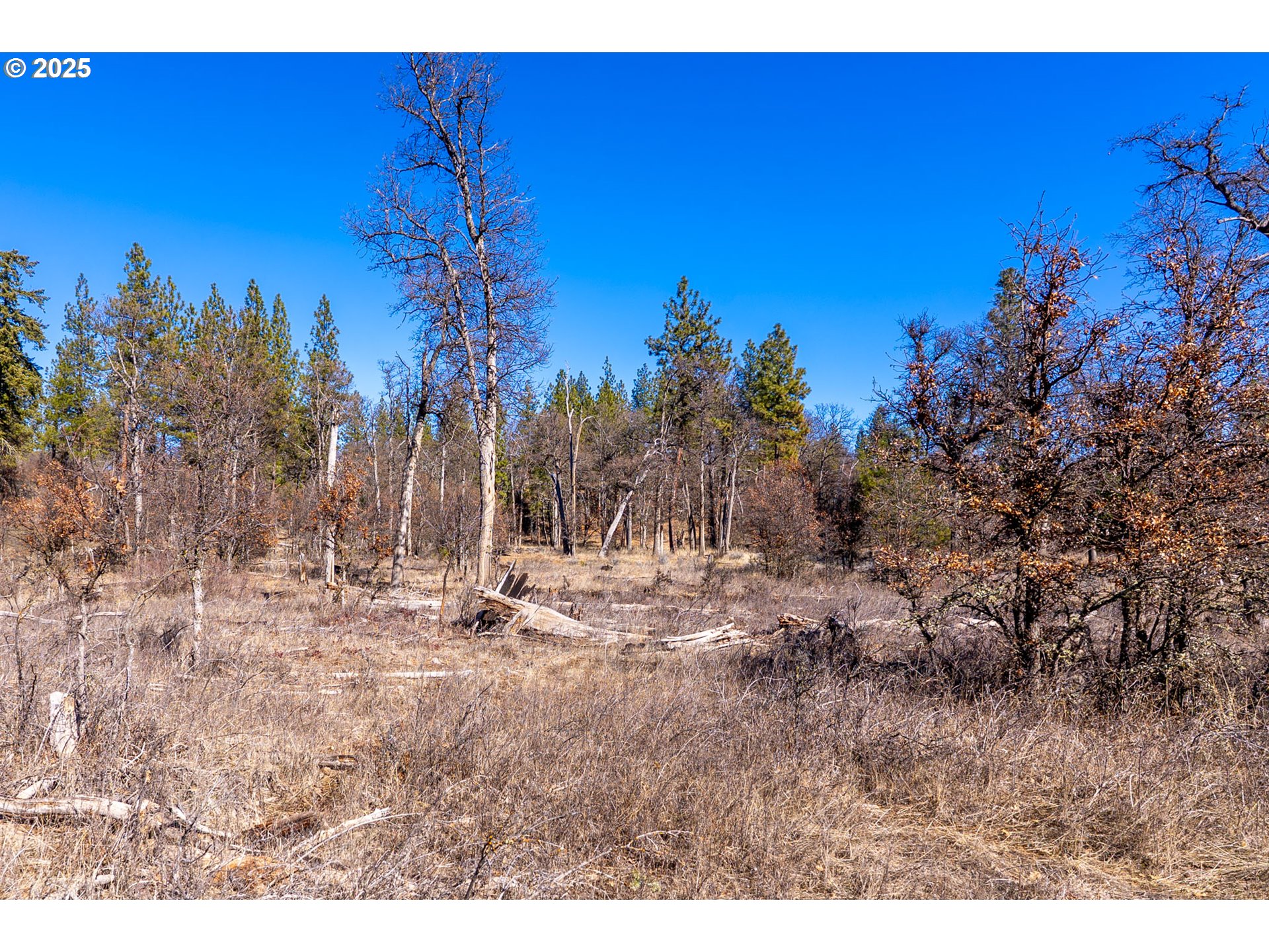 76 Big Springs Road Goldendale, WA 98620 - Photo 31 of 48 a view of outdoor space with trees all around