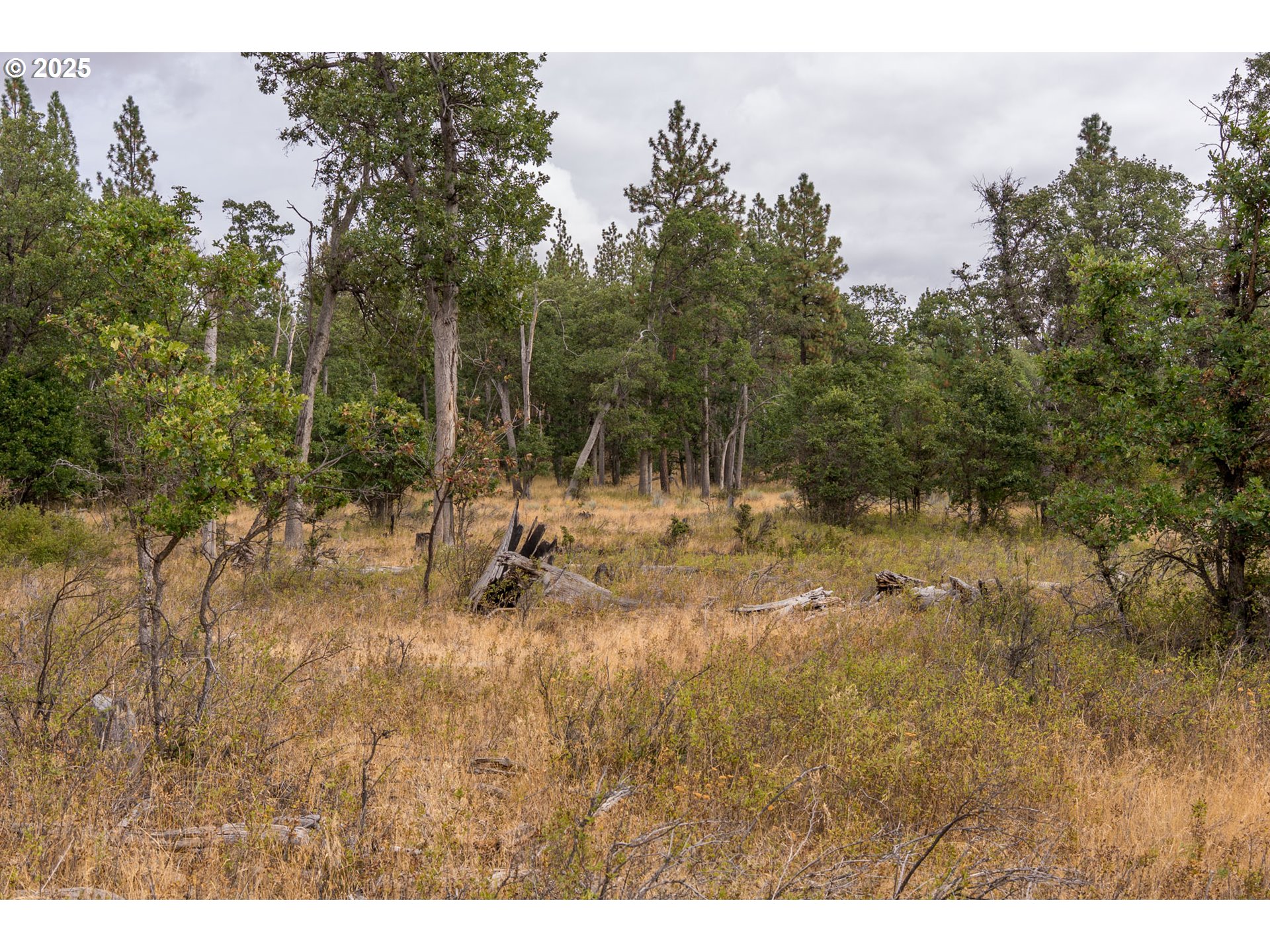 76 Big Springs Road Goldendale, WA 98620 - Photo 32 of 48 a view of a yard with a tree