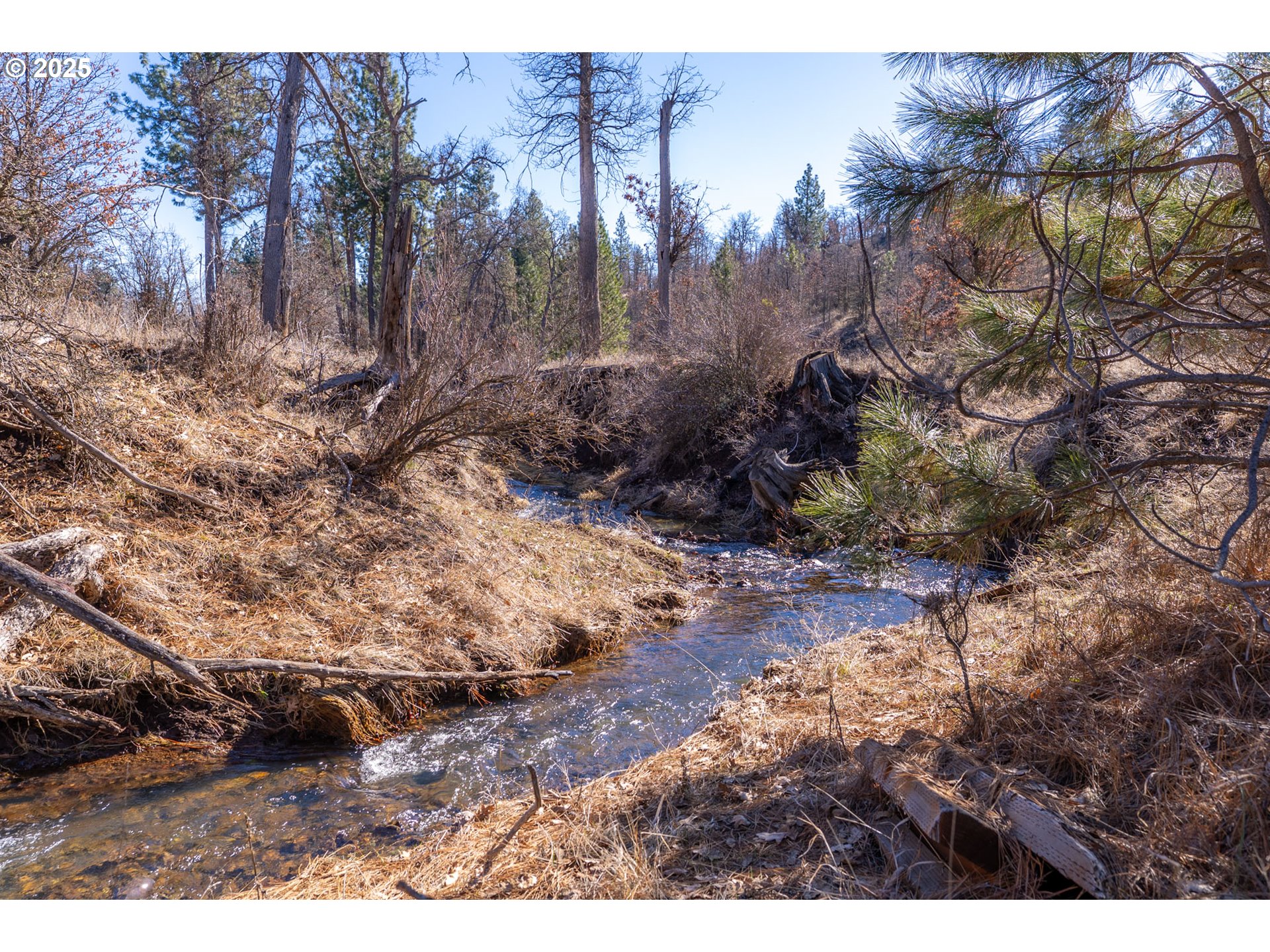 76 Big Springs Road Goldendale, WA 98620 - Photo 34 of 48 a view of outdoor space with lots of trees