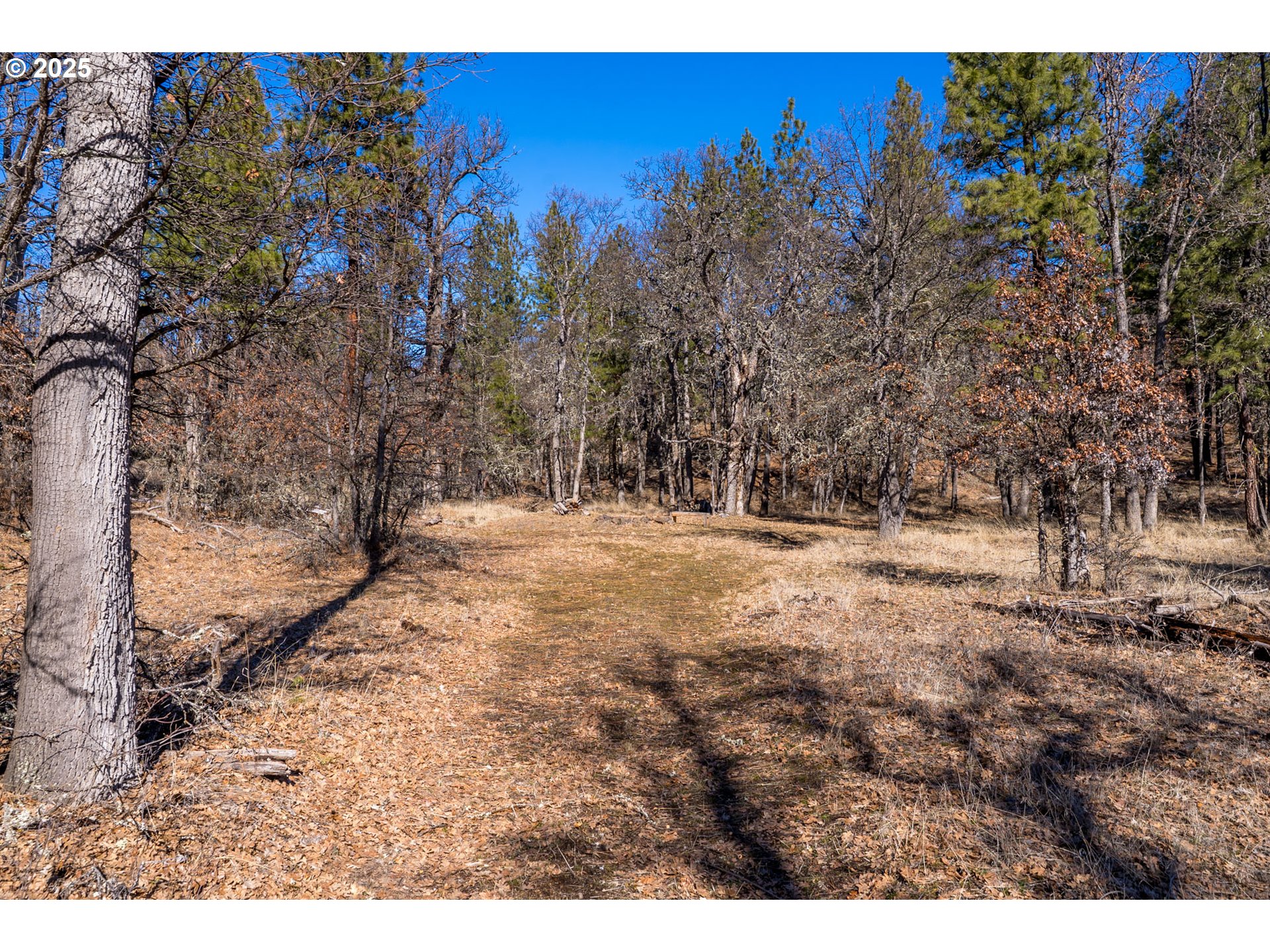 76 Big Springs Road Goldendale, WA 98620 - Photo 35 of 48 a view of outdoor space with trees