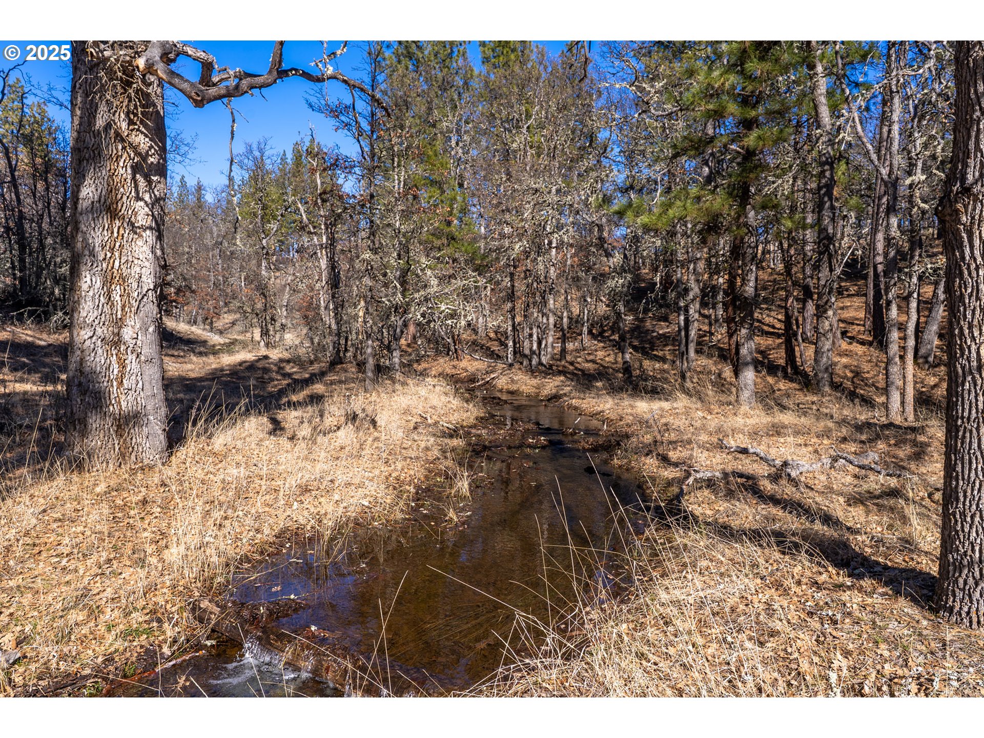 76 Big Springs Road Goldendale, WA 98620 - Photo 38 of 48 a view of outdoor space and covered with trees