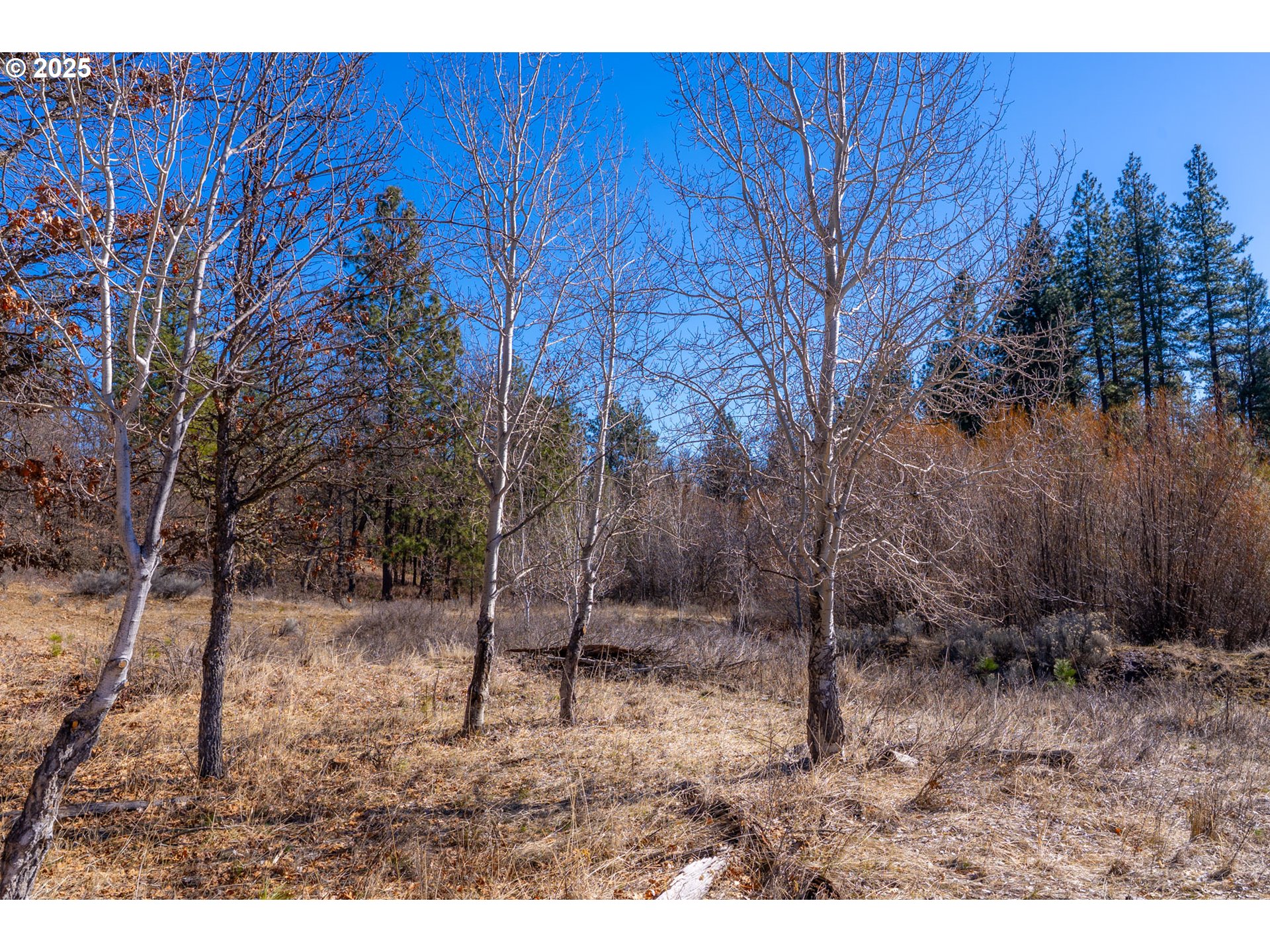 76 Big Springs Road Goldendale, WA 98620 - Photo 39 of 48 a backyard of a house