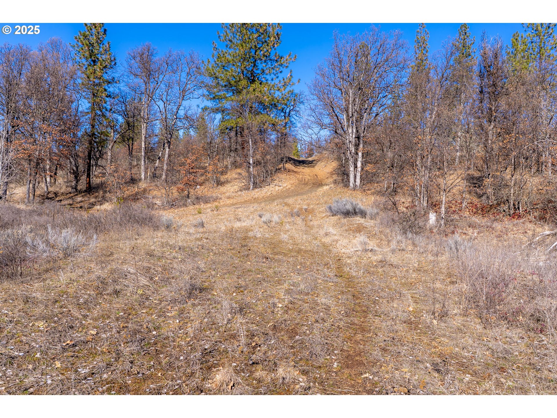 76 Big Springs Road Goldendale, WA 98620 - Photo 40 of 48 a view of a backyard with wooden fence