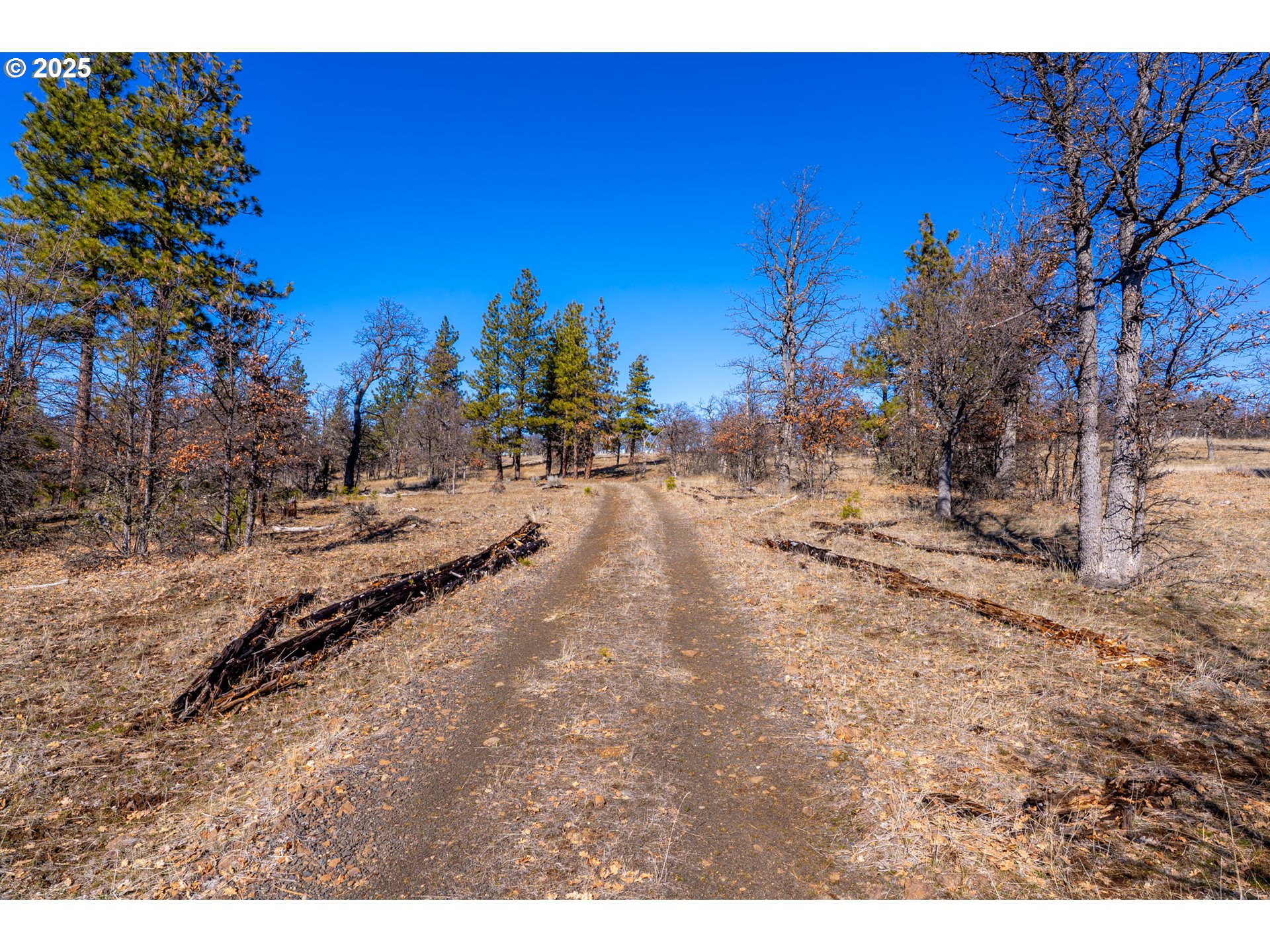 76 Big Springs Road Goldendale, WA 98620 - Photo 41 of 48 a view of a yard with trees in the background