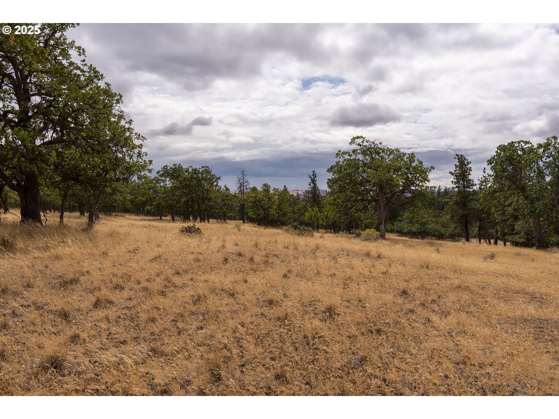76 Big Springs Road Goldendale, WA 98620 - Photo 43 of 48 a view of a yard with a snow