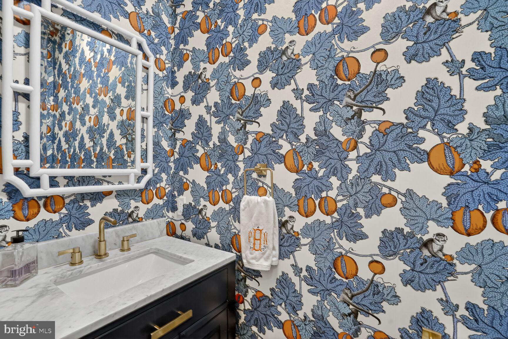 4837 W Street Northwest Washington, DC 20007 - Photo 24 of 59 Powder room off center hallway