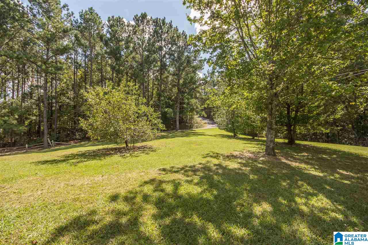 11615 County Road 73 Montevallo, AL 35115 - Photo 44 of 47