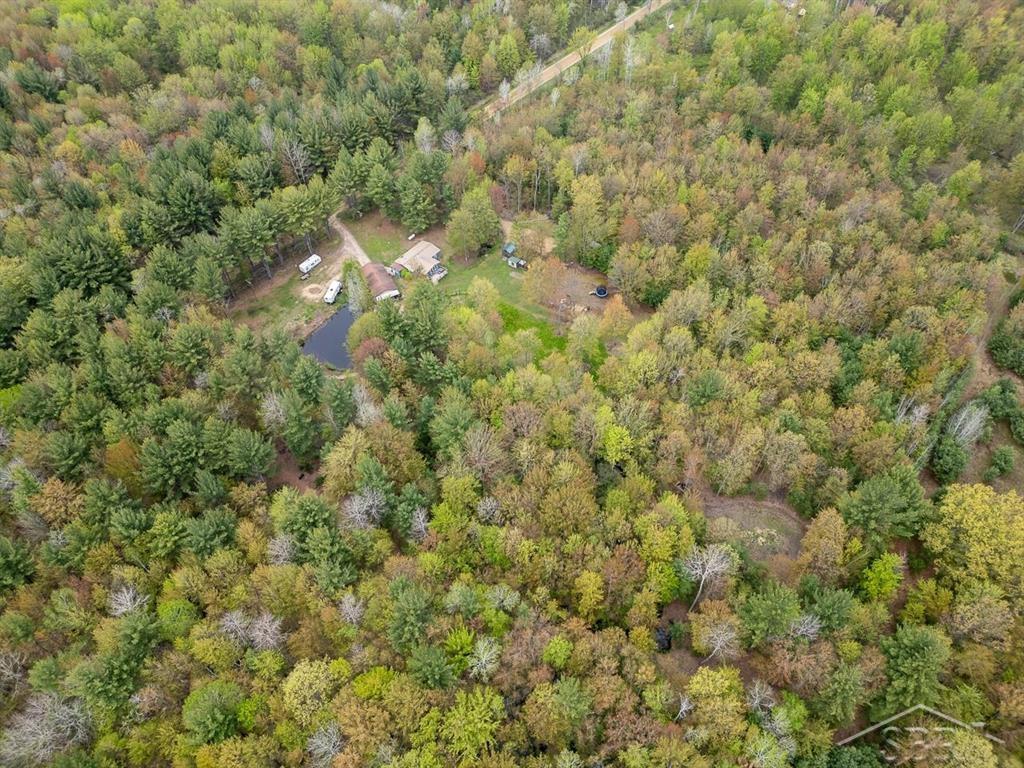 5332 North Alamando Road Coleman, MI 48618 - Photo 29 of 48
