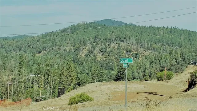 $46,000 | 14765 Grouse Road, Middletown, CA 95461