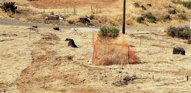 $46,000 | 14765 Grouse Road, Middletown, CA 95461