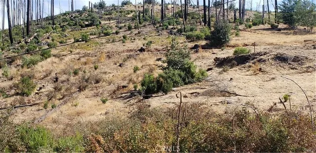 $46,000 | 14765 Grouse Road, Middletown, CA 95461